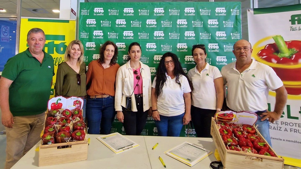 semillas fito vitmainateconpimiento|semillas fito vitmainateconpimiento|semillas fito vitmainateconpimiento